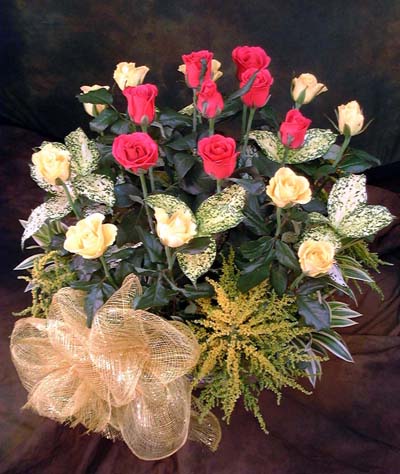 Kwiaciarnia Rosa